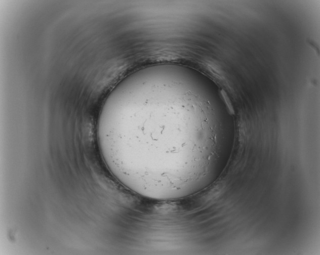 X0000103310362200809122057