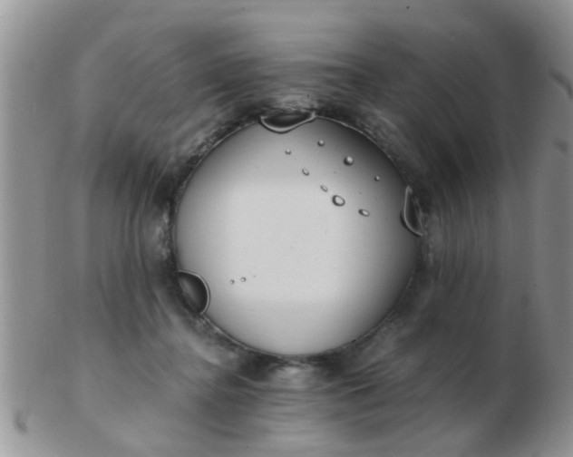 X0000103310364200809122057
