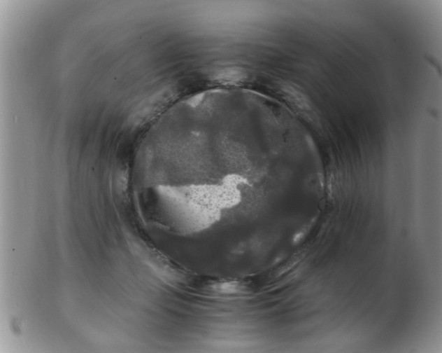 X0000103310365200809122057