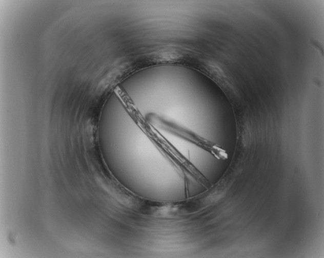 X0000103310366200809122057