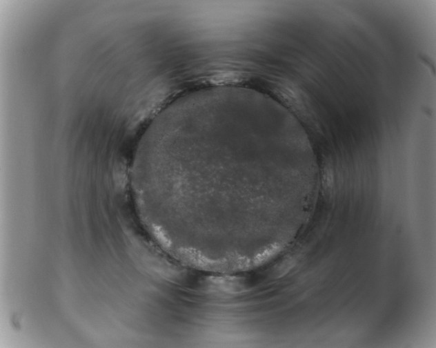 X0000103310367200809122057