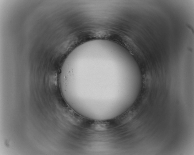 X0000103310368200809122057