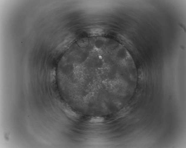 X0000103310369200809122057