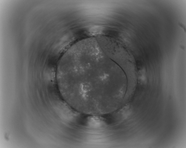 X0000103310372200809122057