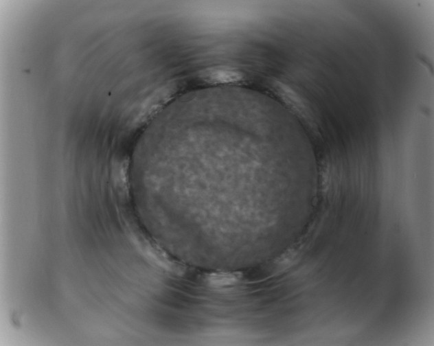 X0000103310373200809122057