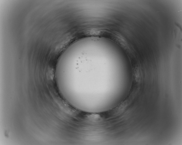 X0000103310374200809122057