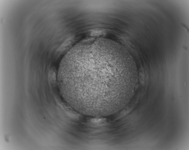 X0000103310375200809122057