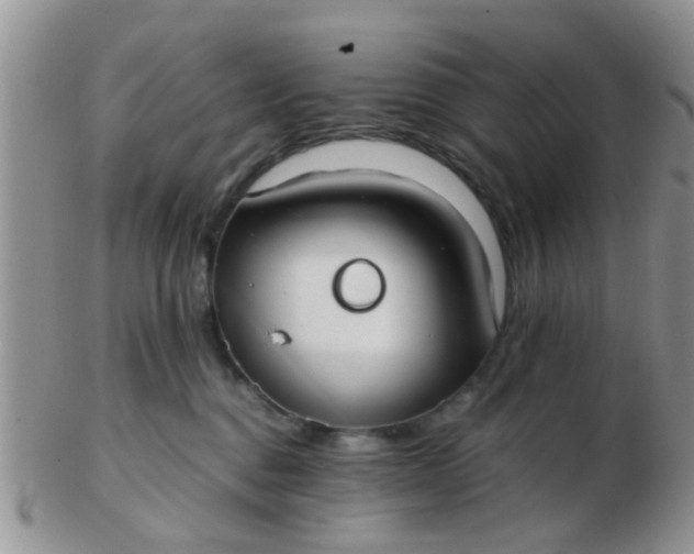 X0000103310376200809122057