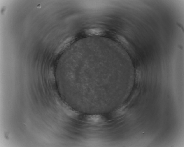 X0000103310377200809122057