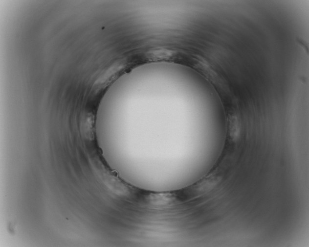 X0000103310378200809122057