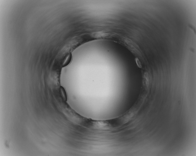 X0000103310380200809122057