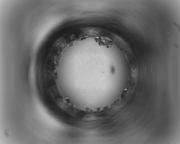 X0000103310381200809122057