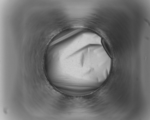 X0000103310385200809122056