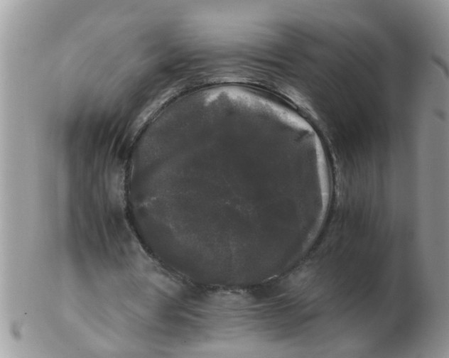 X0000103310386200809122056