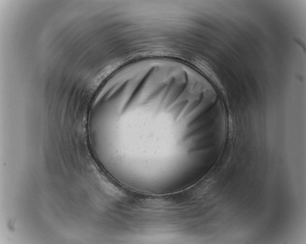 X0000103310389200809122056