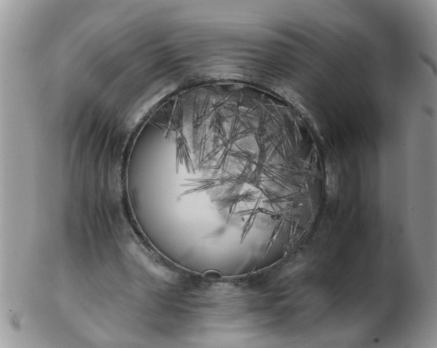 X0000103310390200809122056