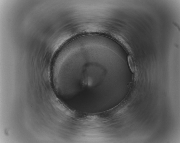 X0000103310391200809122056