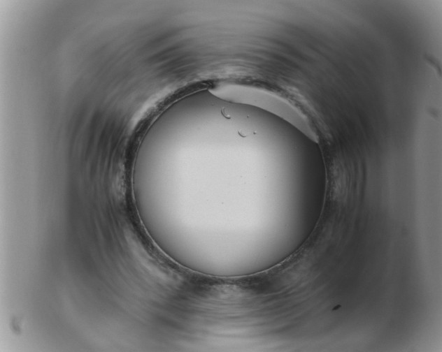 X0000103310392200809122056