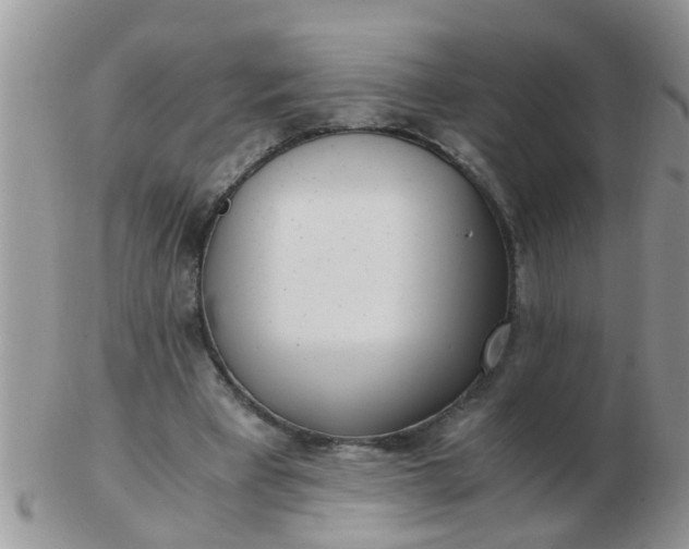 X0000103310393200809122056