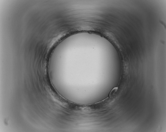 X0000103310395200809122056