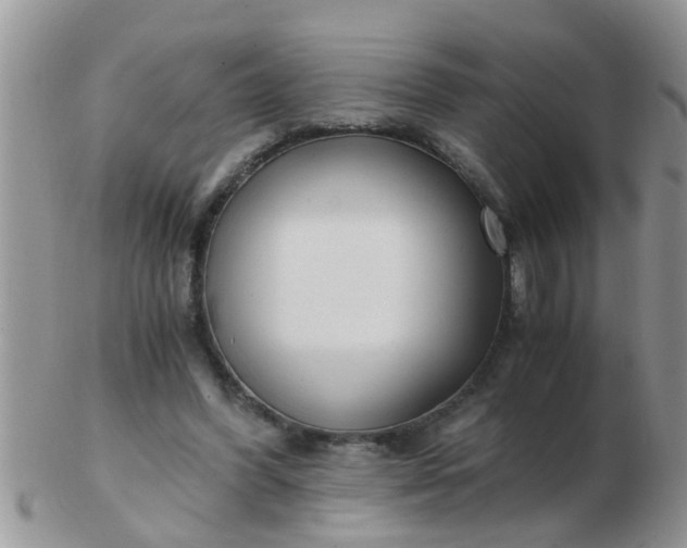 X0000103310396200809122056