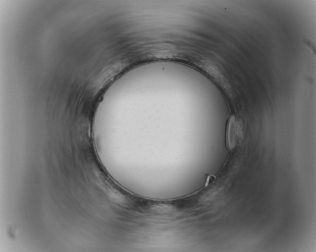 X0000103310397200809122056