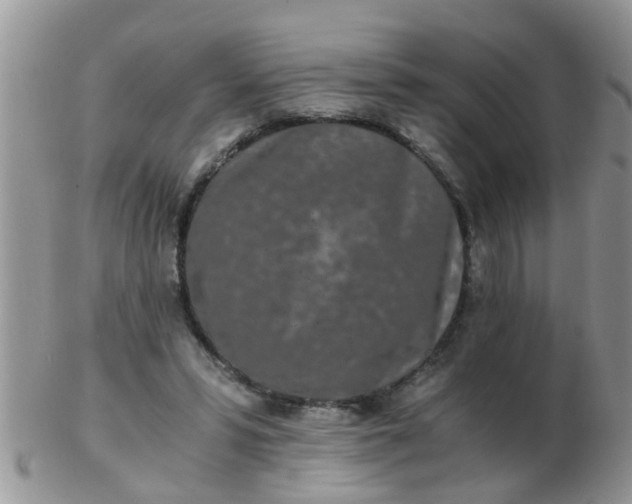 X0000103310399200809122056