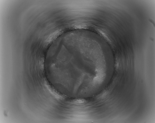 X0000103310402200809122056
