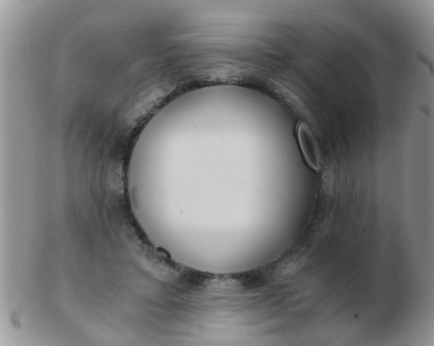 X0000103310403200809122056