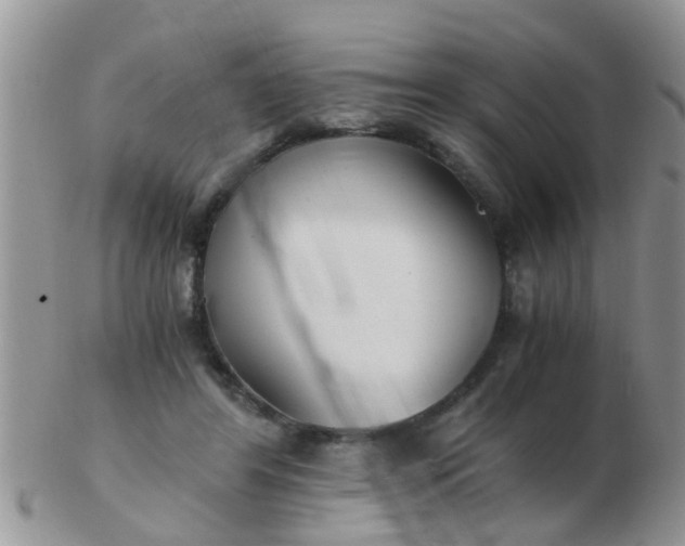X0000103310404200809122056