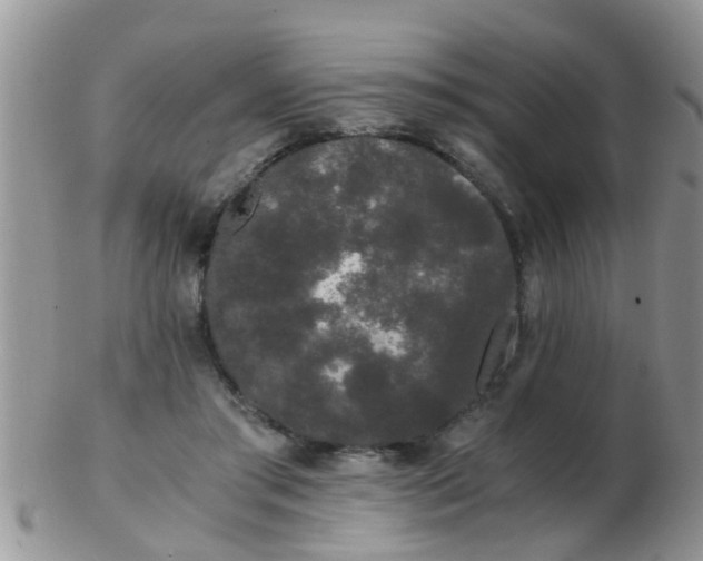 X0000103310405200809122056