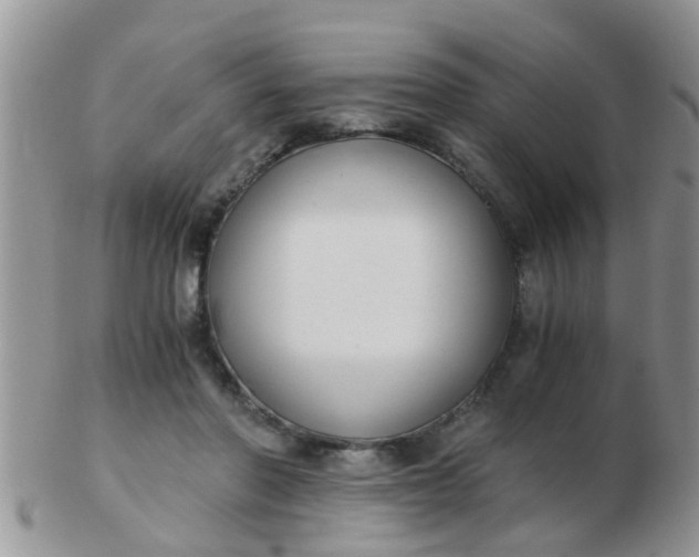 X0000103310406200809122056