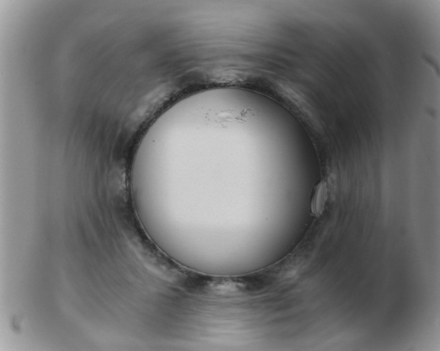 X0000103310407200809122056