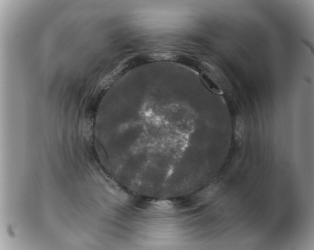 X0000103310409200809122056