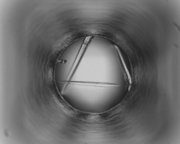 X0000103310410200809122056