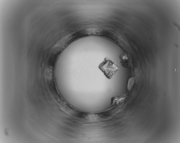 X0000103310413200809122056
