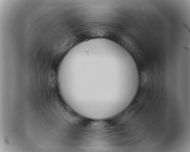 X0000103310414200809122056