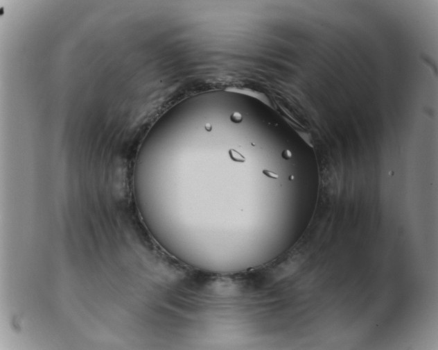 X0000103310416200809122056