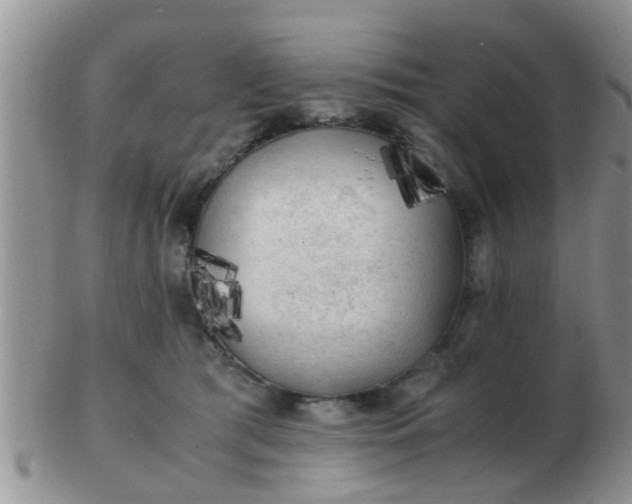 X0000103310417200809122056