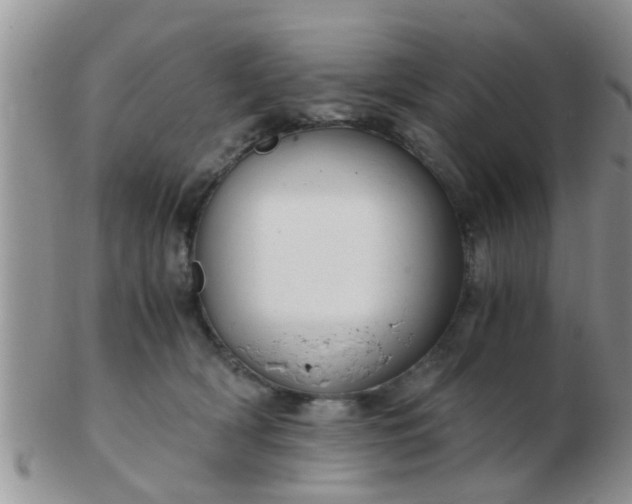 X0000103310418200809122056