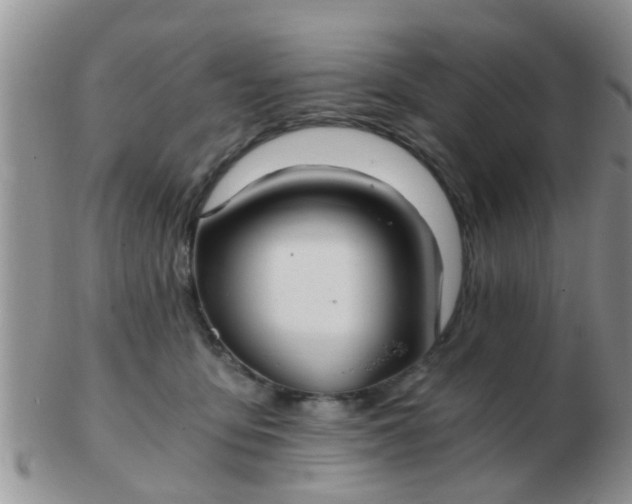 X0000103310419200809122056