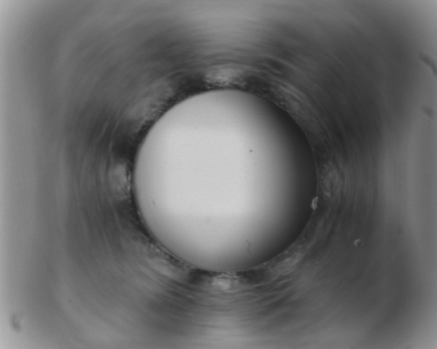 X0000103310420200809122056
