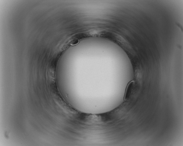 X0000103310421200809122056