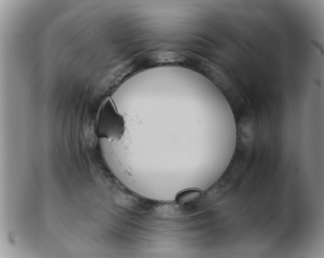 X0000103310422200809122056
