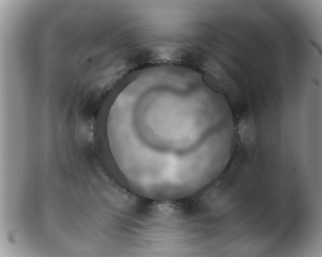 X0000103310423200809122056