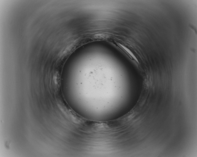 X0000103310424200809122056