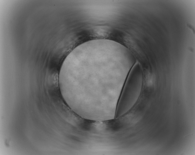 X0000103310425200809122056