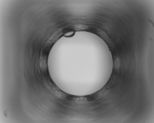 X0000103310426200809122056