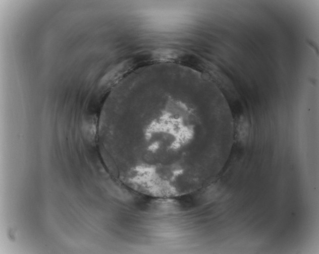 X0000103310427200809122056