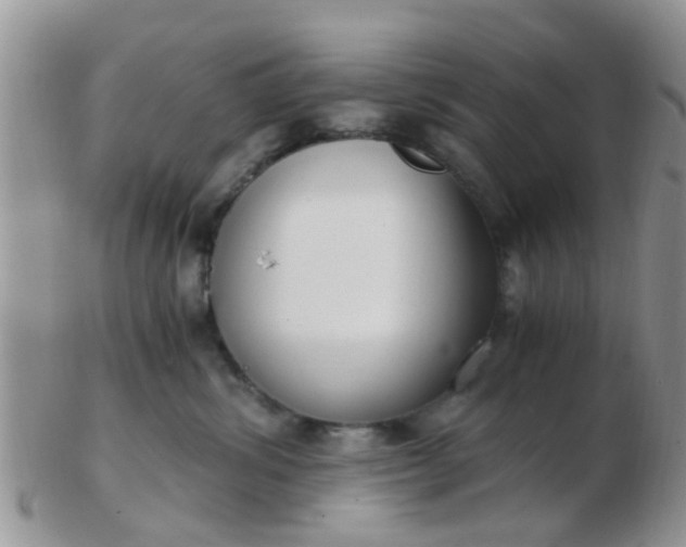 X0000103310428200809122056